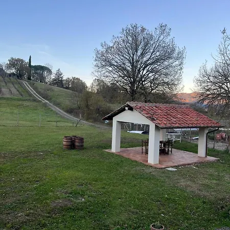 Antica Vigna Toscana