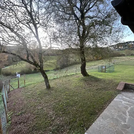 Holiday home Antica Vigna Toscana