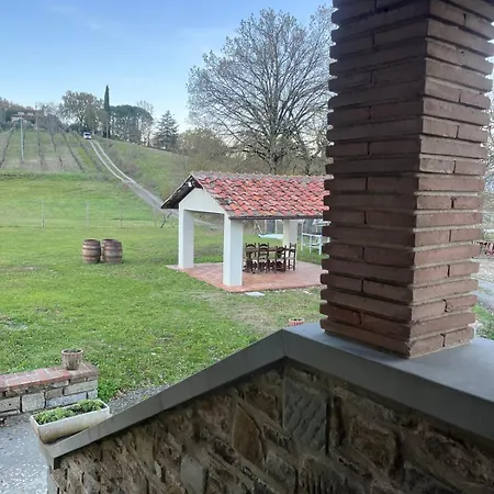 Antica Vigna Toscana