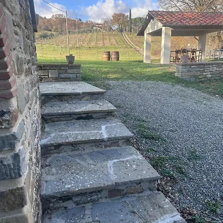 Antica Vigna Toscana Poppi