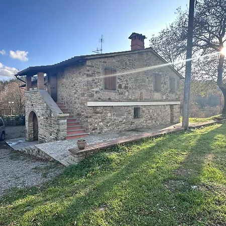 Antica Vigna Toscana *