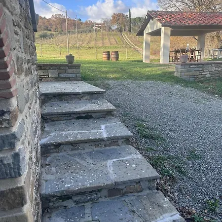 Antica Vigna Toscana *