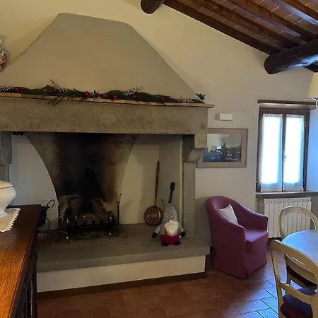 Antica Vigna Toscana Holiday home *