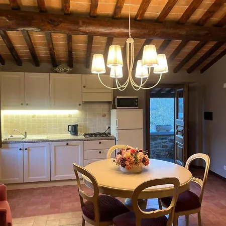 Antica Vigna Toscana Holiday home